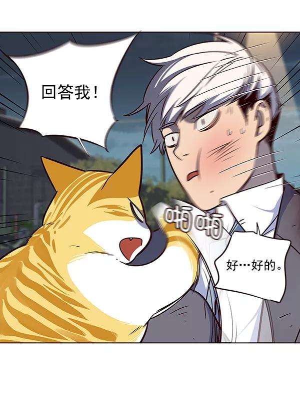 觉醒吧，铲屎官！43话