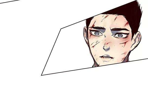 觉醒吧，铲屎官！44话