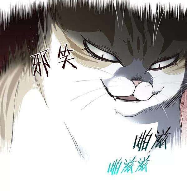 觉醒吧，铲屎官！45话