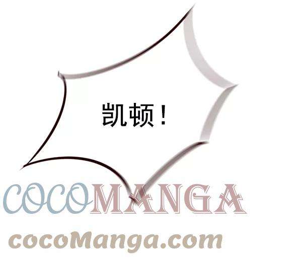 觉醒吧，铲屎官！45话