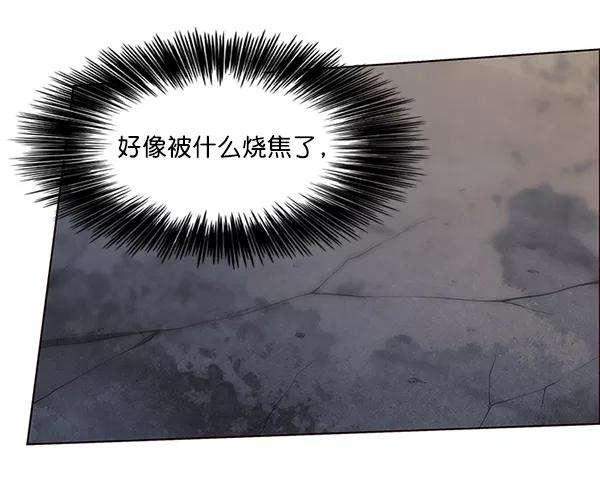 觉醒吧，铲屎官！45话