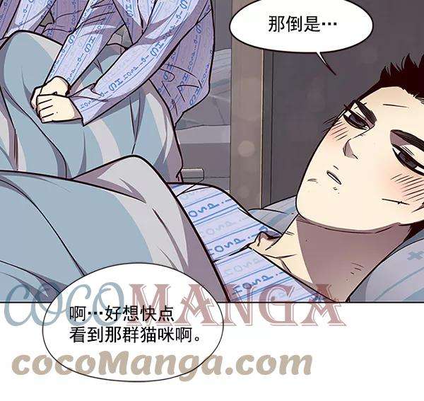 觉醒吧，铲屎官！46话