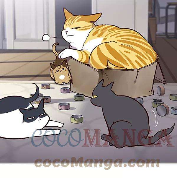 觉醒吧，铲屎官！46话