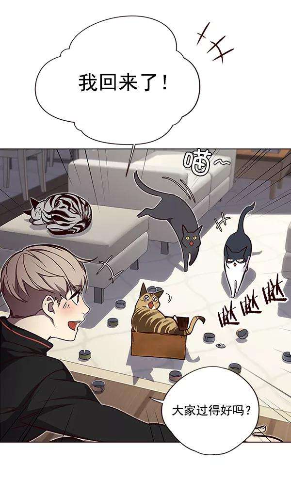 觉醒吧，铲屎官！47话