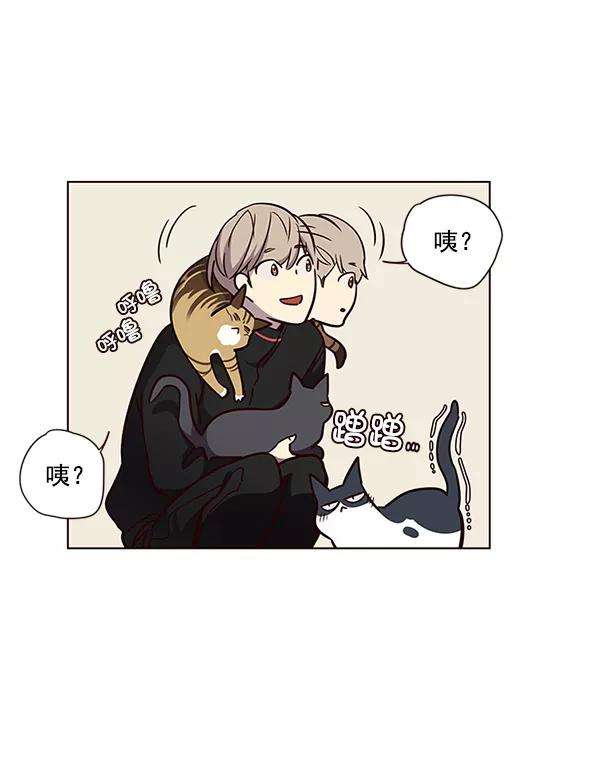 觉醒吧，铲屎官！47话