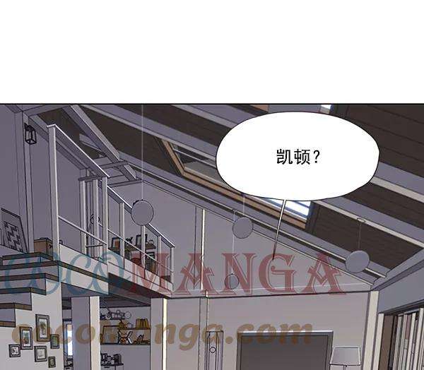 觉醒吧，铲屎官！47话