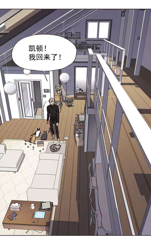 觉醒吧，铲屎官！47话