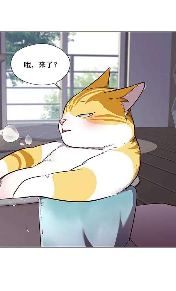 觉醒吧，铲屎官！47话