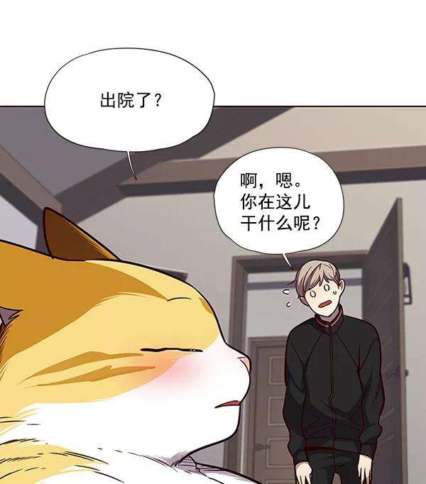 觉醒吧，铲屎官！47话