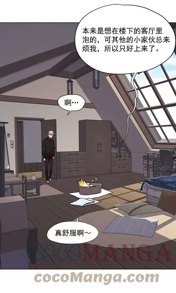 觉醒吧，铲屎官！47话
