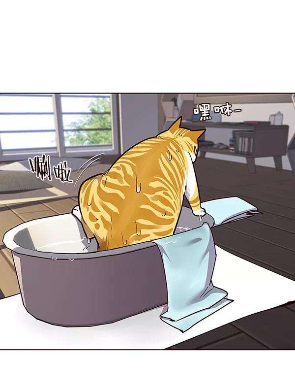 觉醒吧，铲屎官！47话