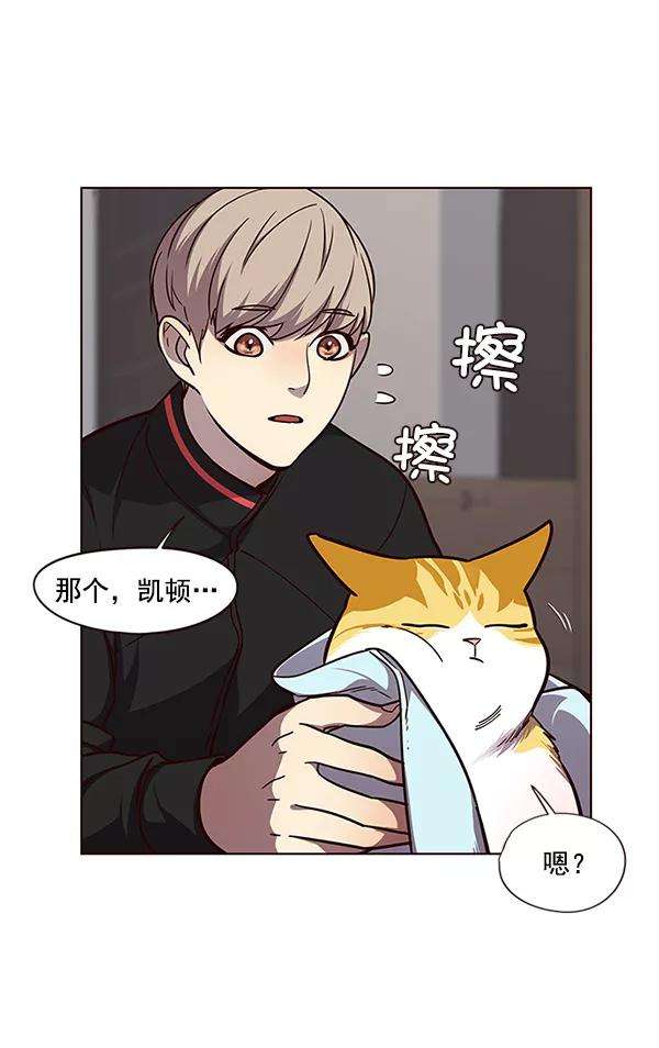 觉醒吧，铲屎官！47话