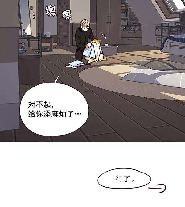 觉醒吧，铲屎官！47话