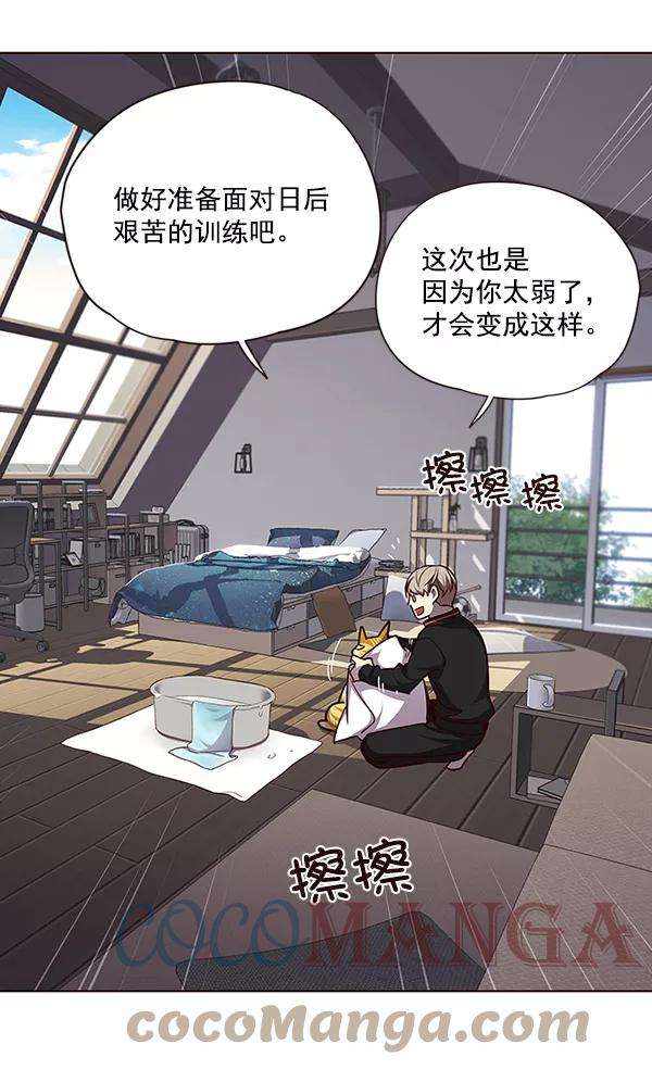 觉醒吧，铲屎官！47话