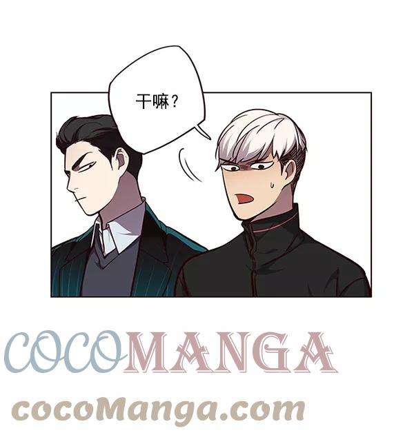 觉醒吧，铲屎官！47话