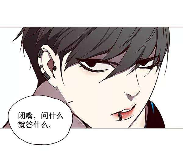 觉醒吧，铲屎官！48话