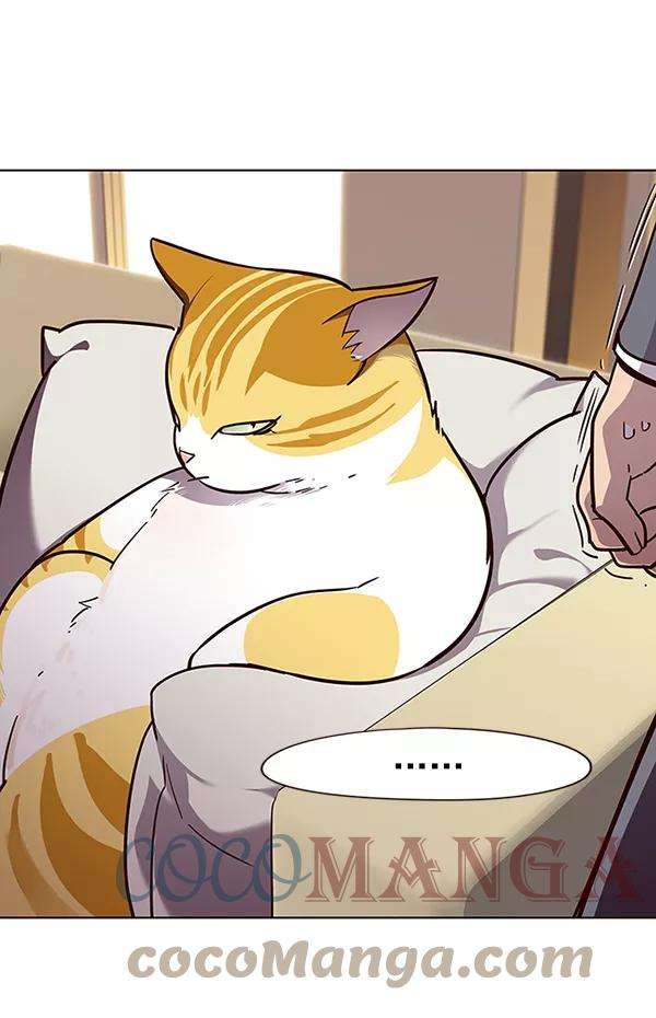 觉醒吧，铲屎官！49话