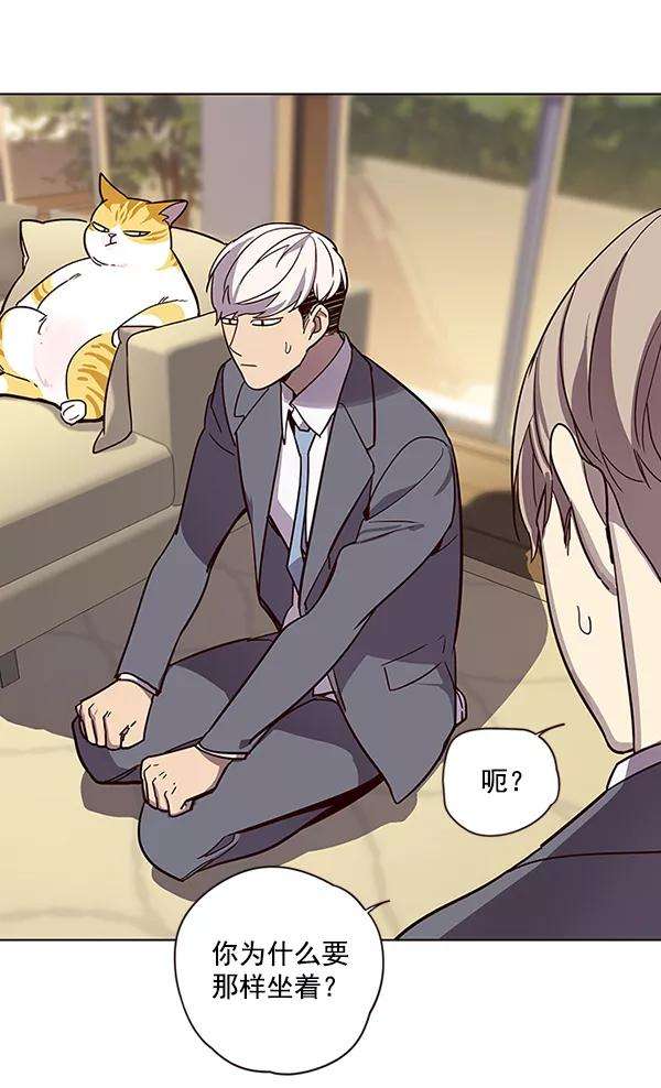 觉醒吧，铲屎官！49话