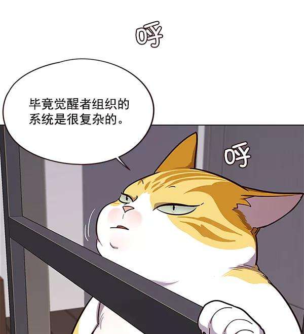 觉醒吧，铲屎官！51话