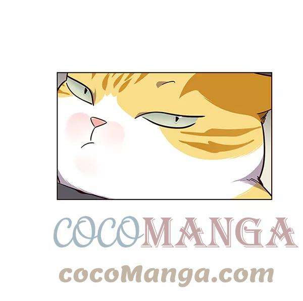 觉醒吧，铲屎官！51话