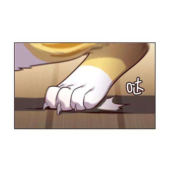 觉醒吧，铲屎官！51话