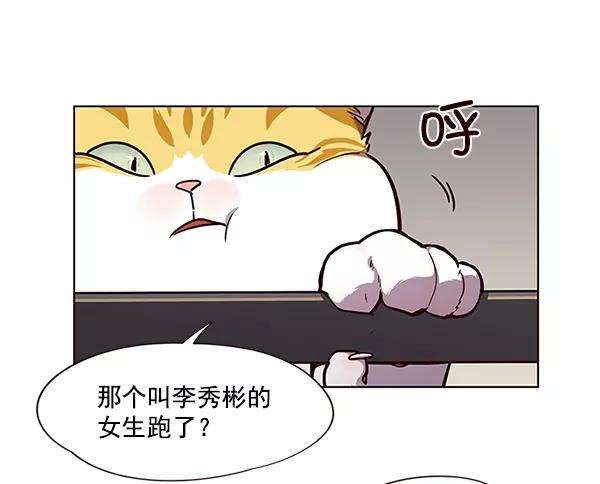 觉醒吧，铲屎官！51话