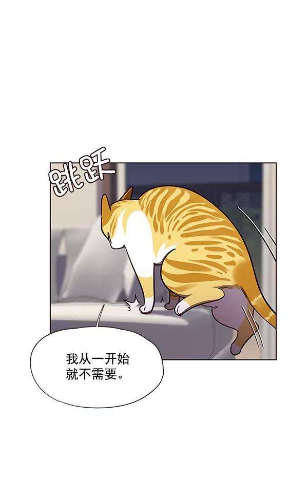 觉醒吧，铲屎官！51话