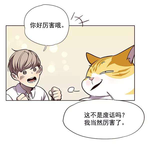 觉醒吧，铲屎官！51话