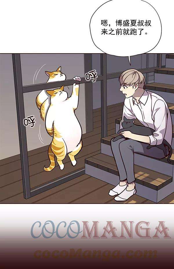 觉醒吧，铲屎官！51话
