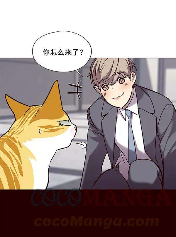 觉醒吧，铲屎官！52话