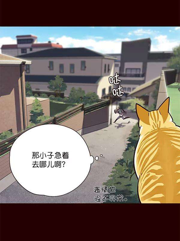 觉醒吧，铲屎官！52话