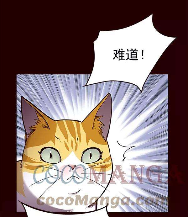 觉醒吧，铲屎官！52话