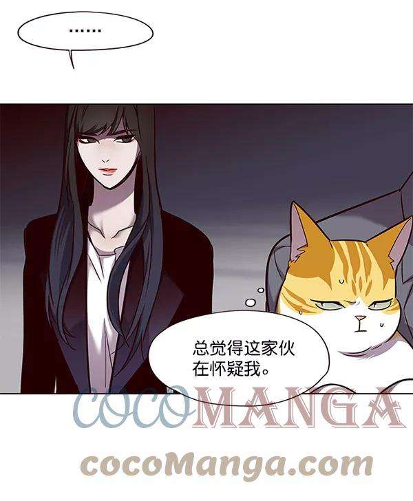 觉醒吧，铲屎官！52话