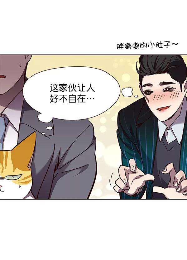觉醒吧，铲屎官！52话