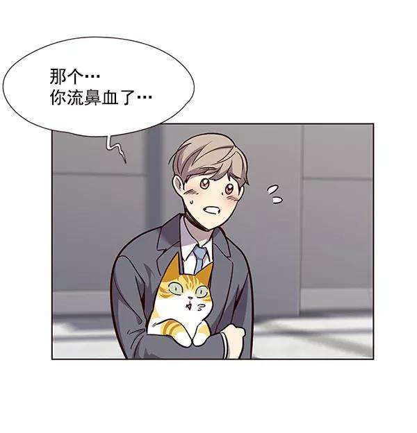 觉醒吧，铲屎官！52话