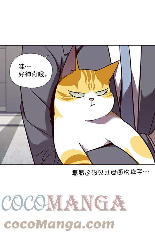 觉醒吧，铲屎官！53话