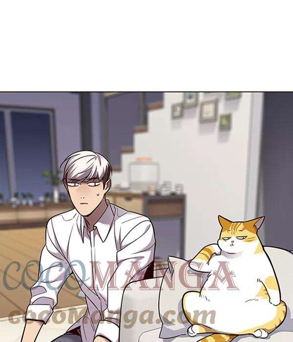 觉醒吧，铲屎官！54话