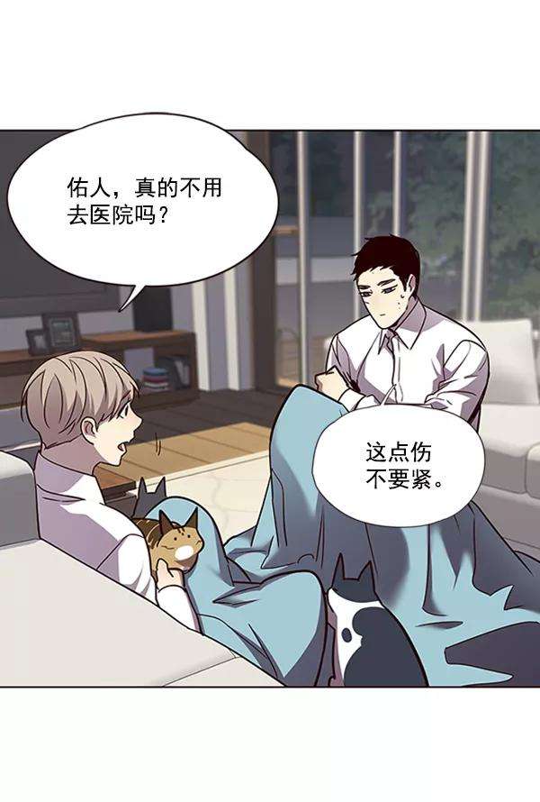 觉醒吧，铲屎官！54话