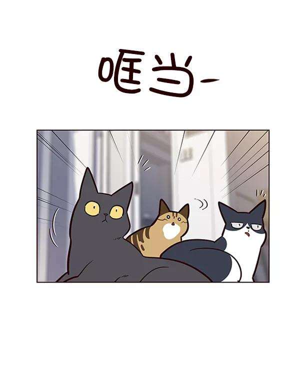 觉醒吧，铲屎官！55话