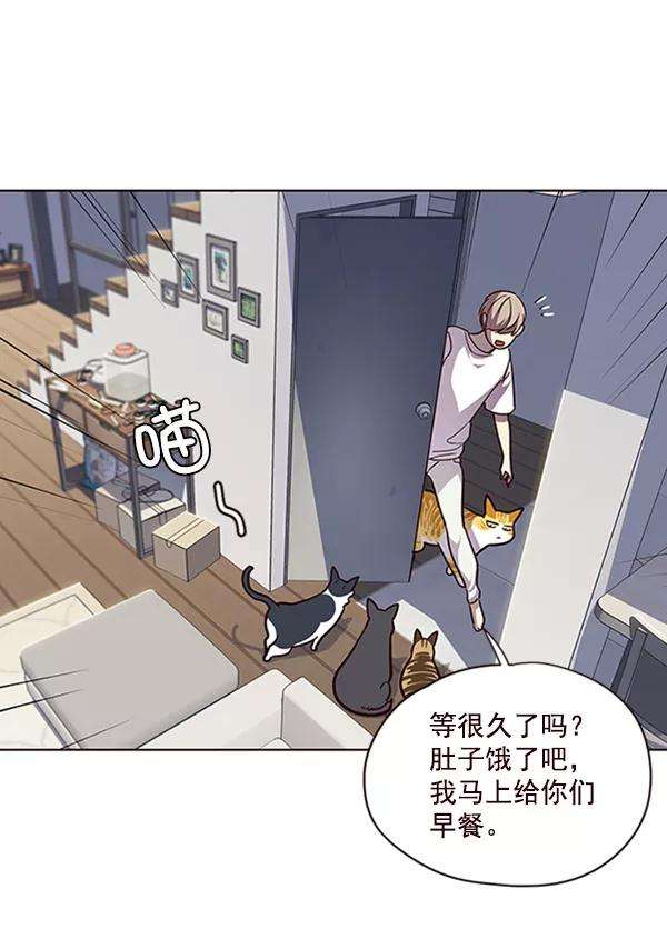 觉醒吧，铲屎官！55话