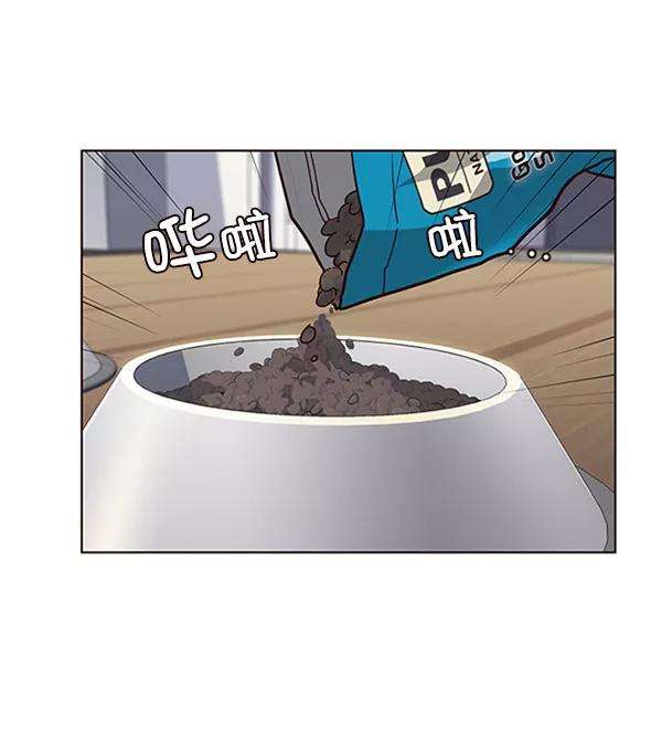 觉醒吧，铲屎官！55话