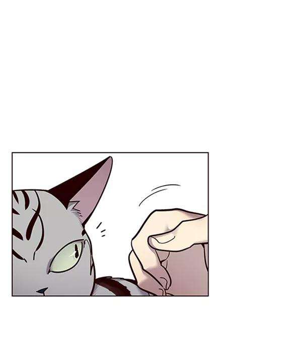 觉醒吧，铲屎官！55话