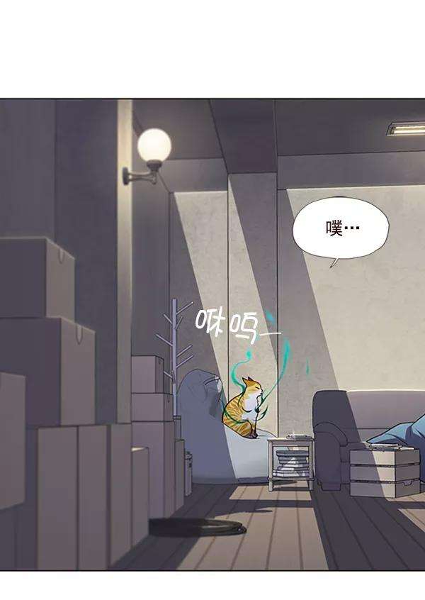 觉醒吧，铲屎官！55话