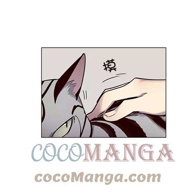 觉醒吧，铲屎官！55话