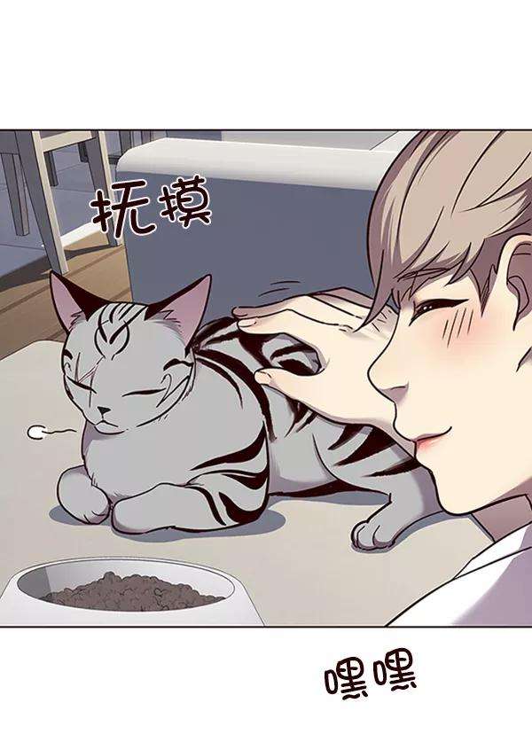 觉醒吧，铲屎官！55话