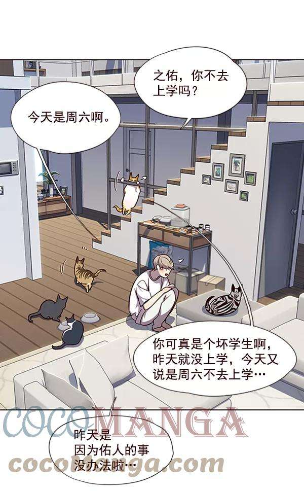 觉醒吧，铲屎官！55话
