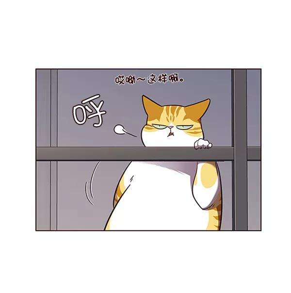 觉醒吧，铲屎官！55话
