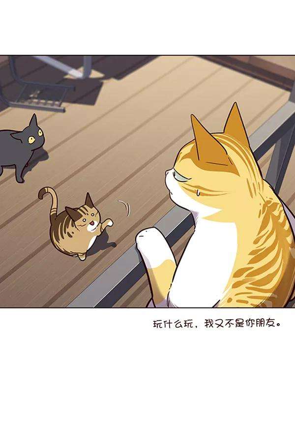 觉醒吧，铲屎官！55话