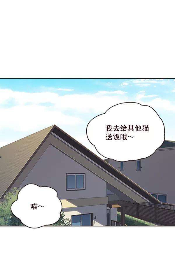 觉醒吧，铲屎官！55话
