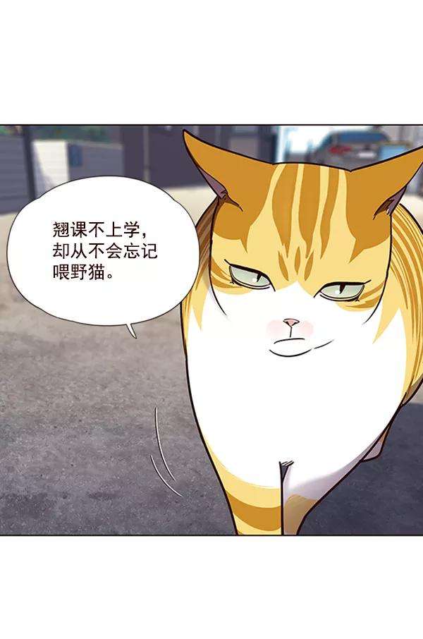 觉醒吧，铲屎官！55话